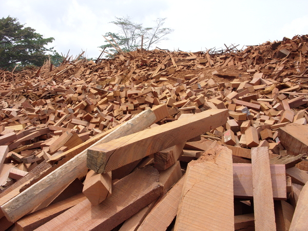 Waste wood from mill in Kumba, Cameroon
