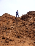 Waste wood from mill in Kumba, Cameroon